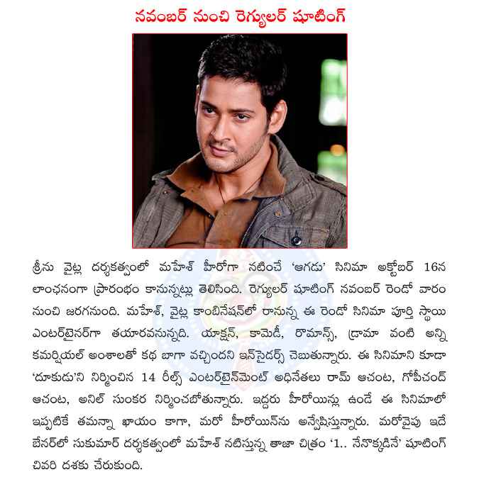 srinu vaitla,sreenu vaitla,mahesh,aagadu,mahesh aagadu,aagadu launch,tamanna,tamanna with mahesh,mahesh 1,mahesh nenokkadine,director sukumar  srinu vaitla, sreenu vaitla, mahesh, aagadu, mahesh aagadu, aagadu launch, tamanna, tamanna with mahesh, mahesh 1, mahesh nenokkadine, director sukumar